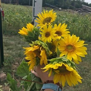 Meet your Posher, Auggie